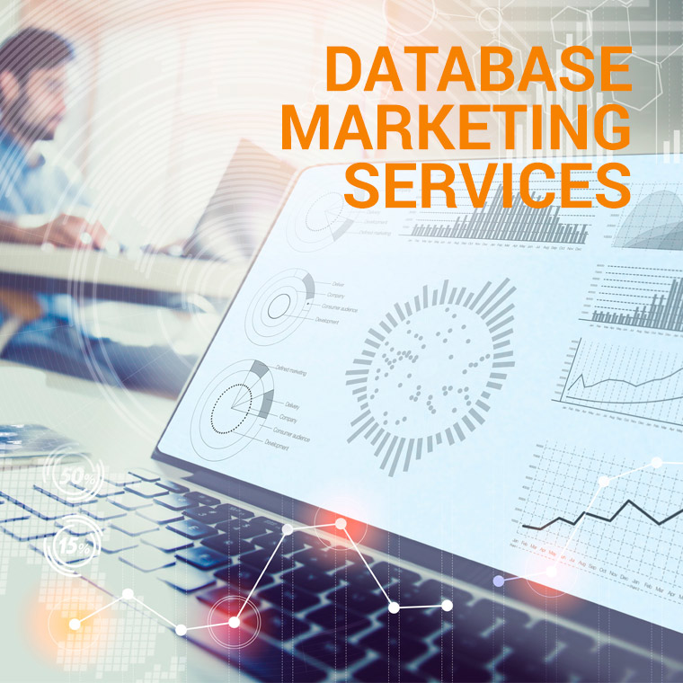 solucoes em marketing - database marketing services